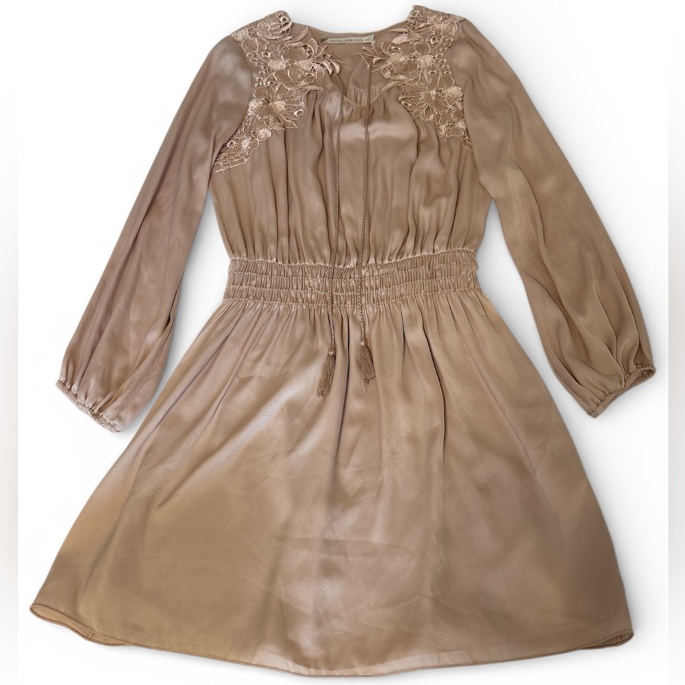 Chelsea & Violet Classy Blush Embroidered Dress Bishop Sleeves A Line Skirt Sz L